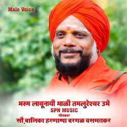 भस्म लावूनिया भाळी तमलुरेश्वर उभे _ Shivanand Shivacharya Maharaj Tamloorkar-Oy4qaxdmc3k