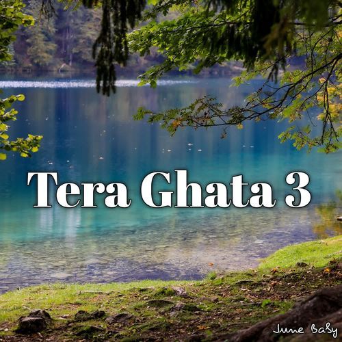 Tera Ghata 3