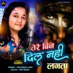 Tere Bin Dil Nahi Lagta