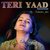 Teri Yaad (Reprised Version)