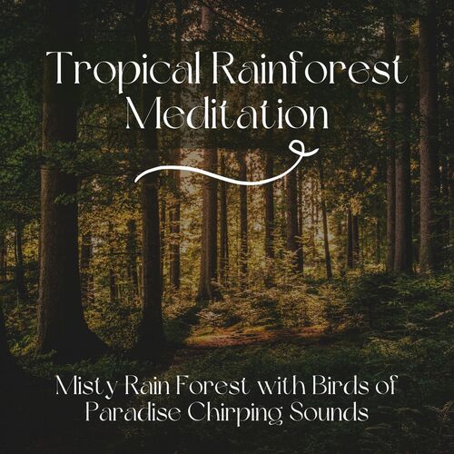 Nature Soundscapes cover art