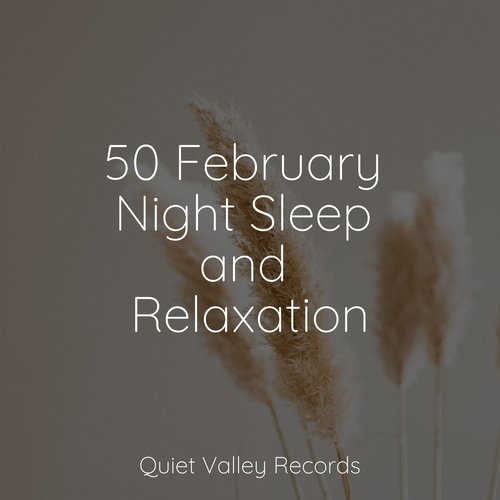 50 February Night Sleep and Relaxation