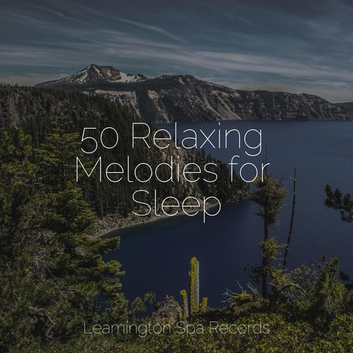 50 Relaxing Melodies for Sleep_poster_image