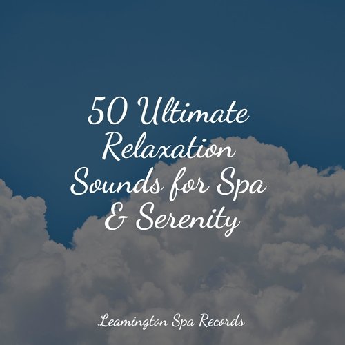 Meditating Music cover art
