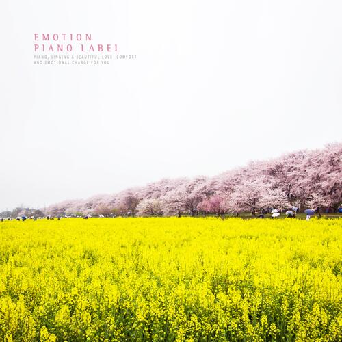 Lullaby For You cover art