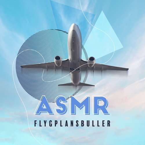 ASMR flygplan ljud (Vi landar)
