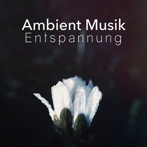 Ambient Musik Entspannung