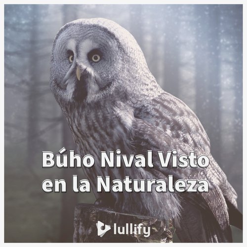 En el crepúsculo cover art