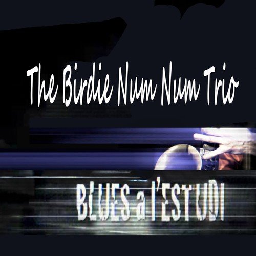 Blues a l'Estudi: The Birdie Num Num Trio