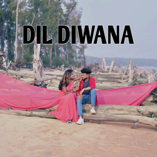 Dil Diwana