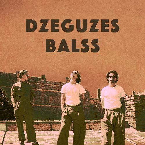 Dzeguzes balss_poster_image