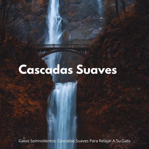 Gatos Relajados cover art