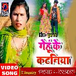 Gehun Ke Kataniya (Bhojpuri)