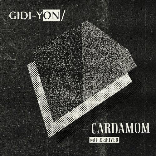 Cardamon cover art