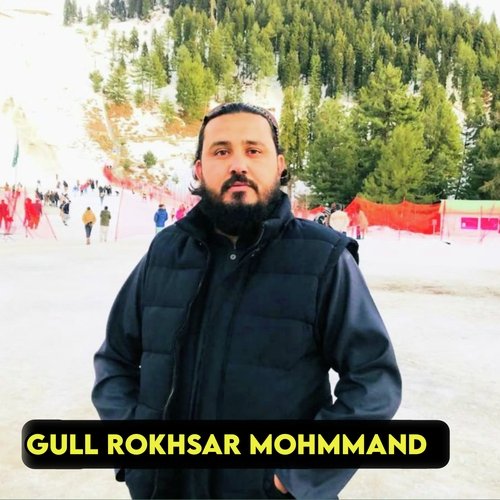 Gull Rokhsar Mohmmand