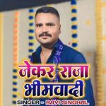 Jekar Raja Bhimwadi