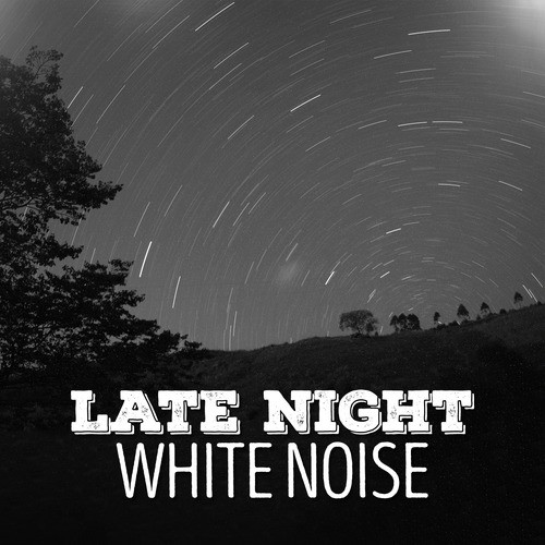 Late Night White Noise