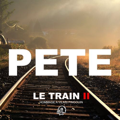 Le train II (Hommage à Vilain Pingouin)_poster_image