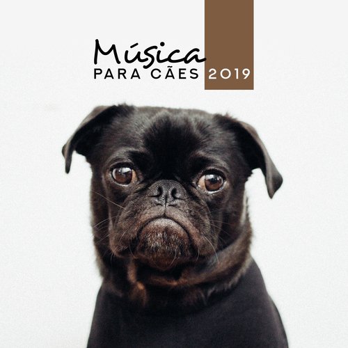 Lonely Pet cover art