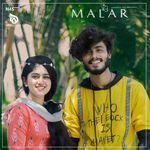 Malar