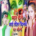 Mar Dele Bhai Tohar Dilwe Me Goli