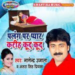 Palang Par Pyar Kariha Kud Kud artwork