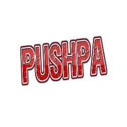 Pushpa (Main Jhukega Nahi Sala)-FV4dZjVfBx4