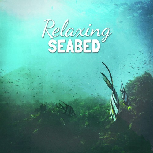 Relaxing Sea Bed