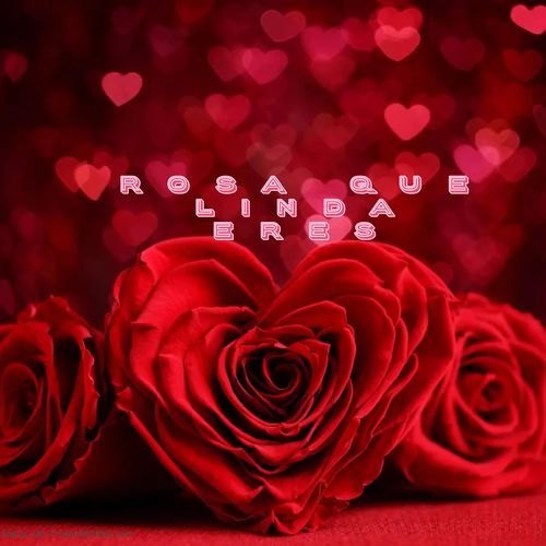 Rosa que linda eres cover art