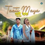 Taati Maya I ताती माया