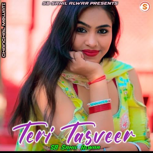 Teri Tasveer