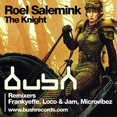 The Knight (Microvibez Remix) cover art