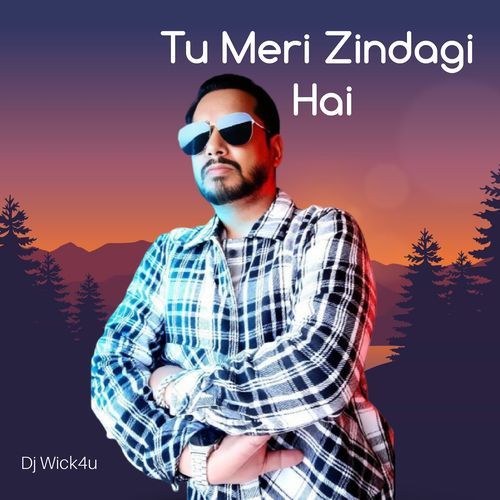 Tu Meri Zindagi Hai