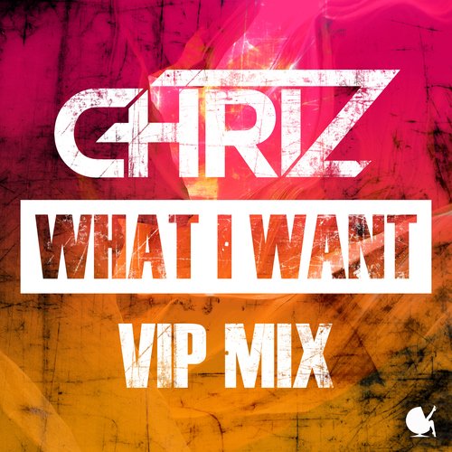 What I Want (VIP Mix)_poster_image