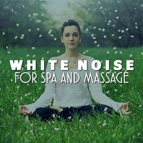 White Noise: Showers