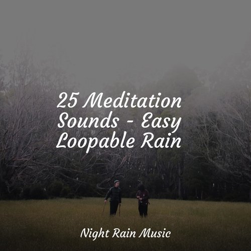 Rain, Storm and Thunder cover art