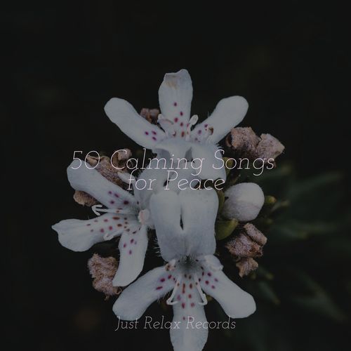 Whispers of the Tidal Edge cover art
