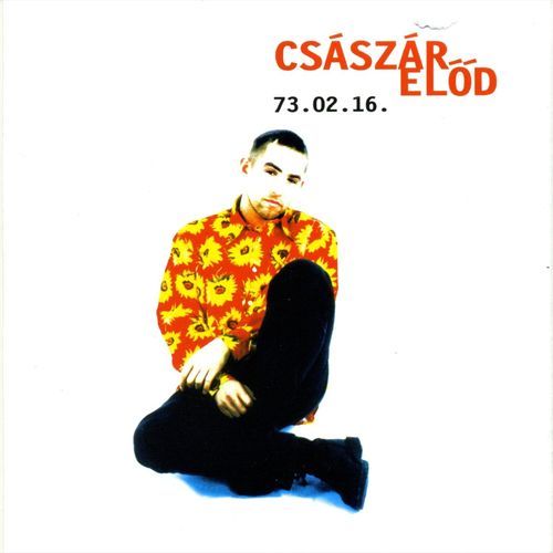 Álomarcú lány cover art