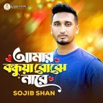 Amar Bondhuya Bojhe Nare