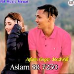 Aslam SR 7250