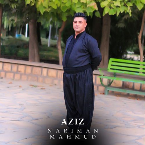 Aziz cover art
