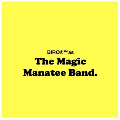 Biro as the Magic Manatee Band