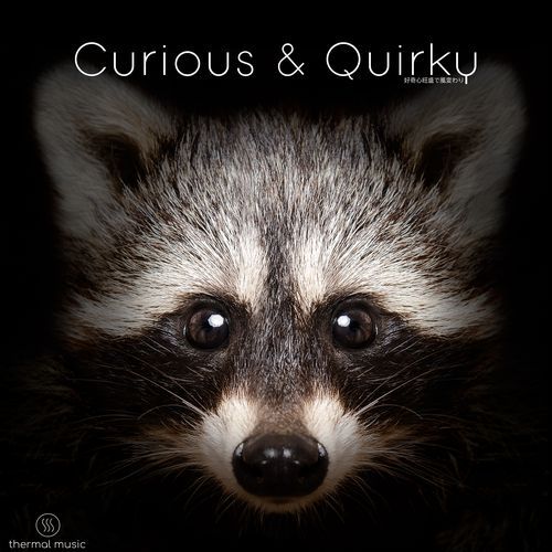 Curiosity