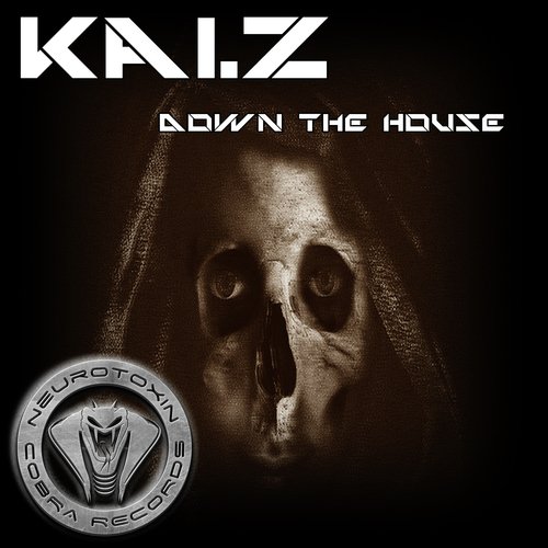 Down The House (Original Mix) cover art