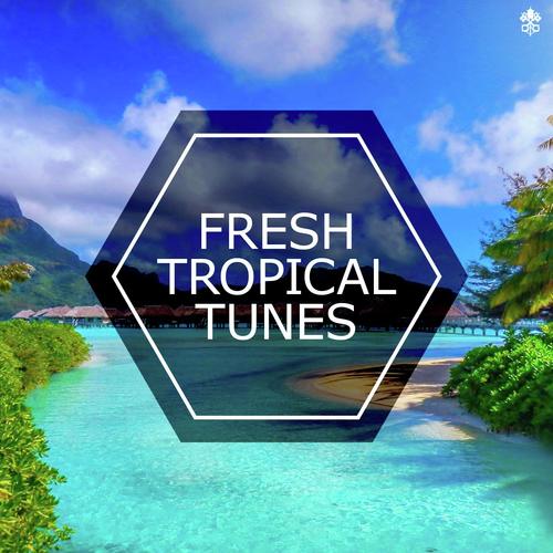 Fresh Tropical Tunes_poster_image