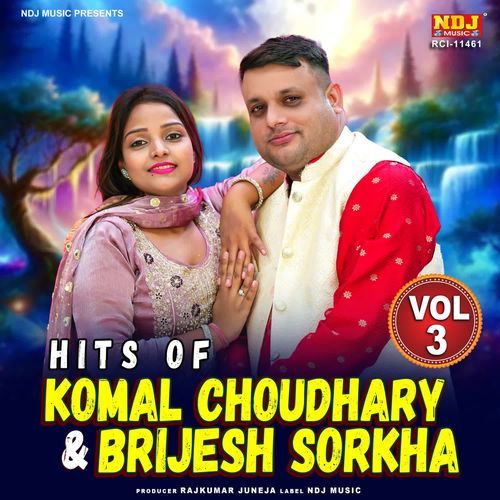 Hits Of Komal Choudhary & Brijesh Sorkha Vol. 3