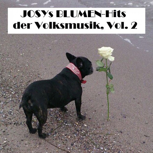 Josys BLUMEN-Hits der Volksmusik, Vol. 2