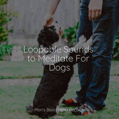 Loopable Sounds to Meditate For Dogs