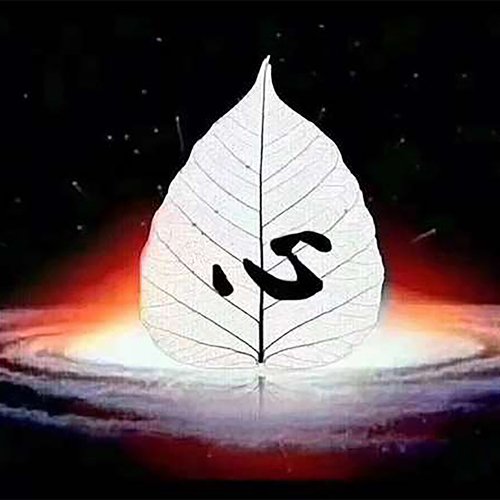 养生五音 疗愈音律 cover art