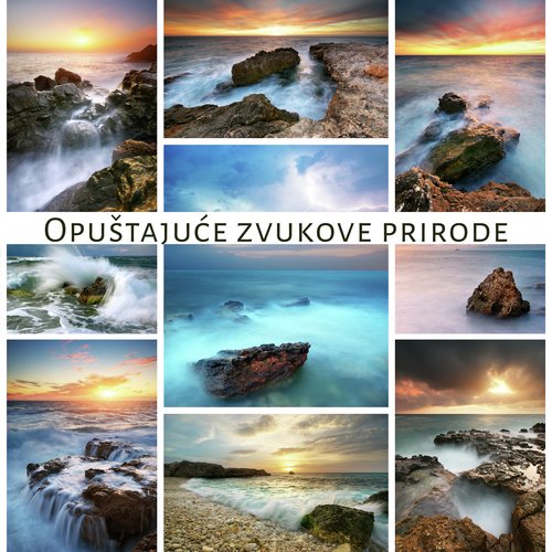 Duboko zelena šuma cover art